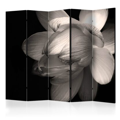 Rumsavdelare / Skärmvägg – Lotus flower II – 225×172 Rumsavdelare 2