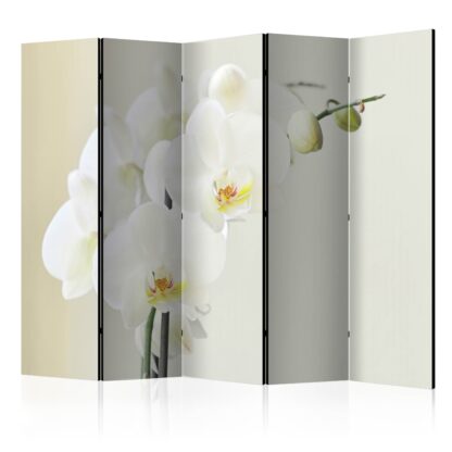 Rumsavdelare / Skärmvägg – White orchid II – 225×172 Rumsavdelare 2